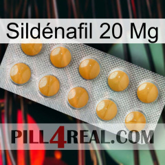 Sildénafil 20 Mg levitra1